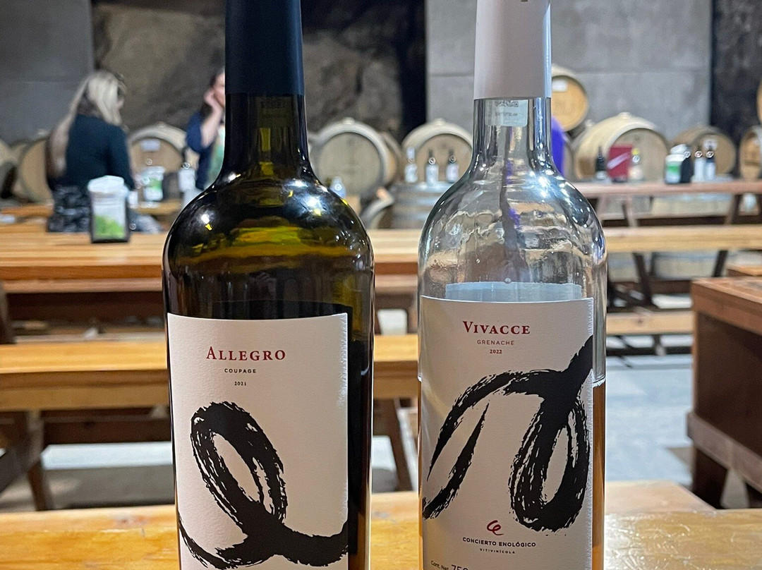 Concierto Enológico-Ejido El Porvenir必去景点