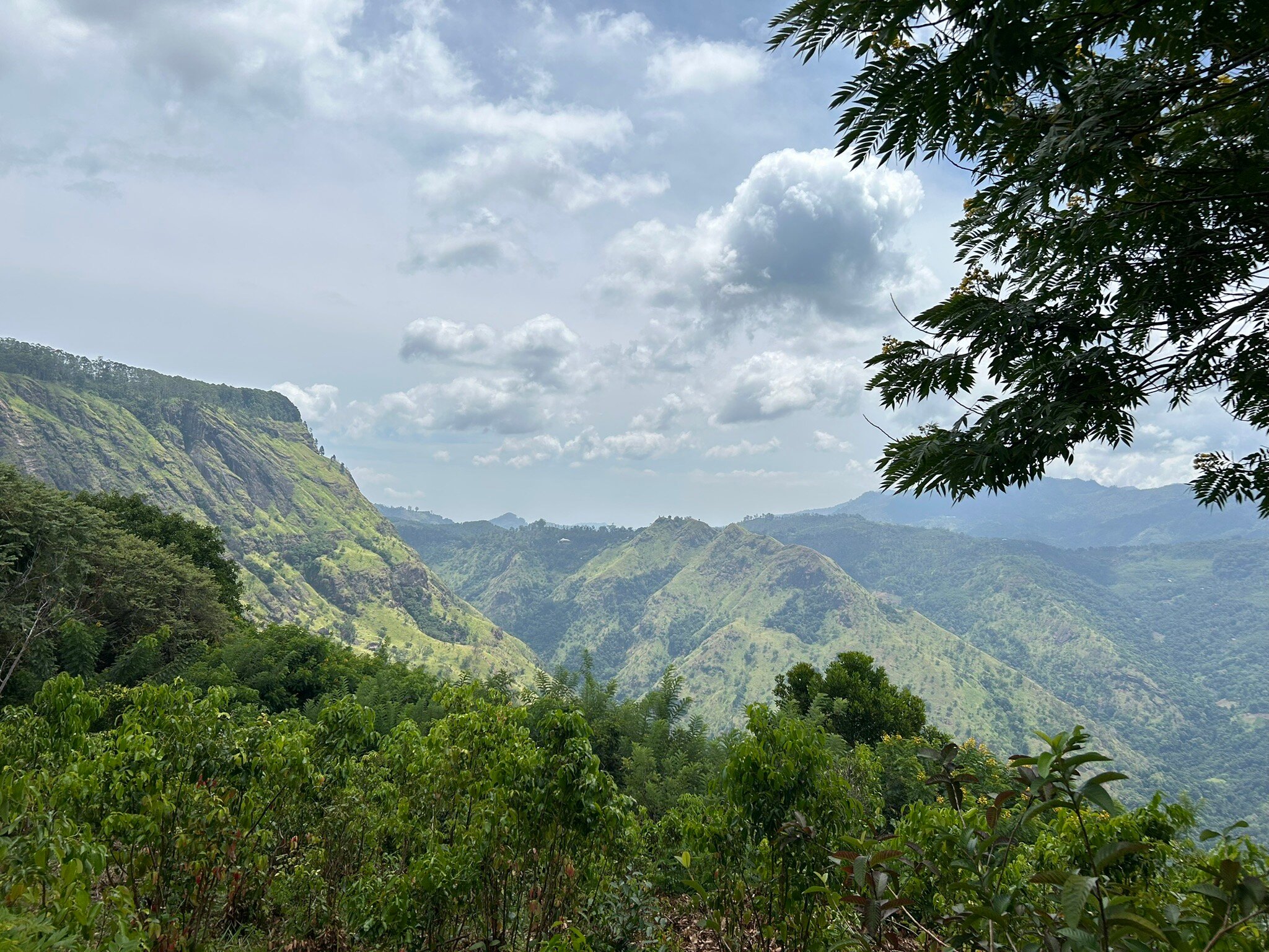 Amba Estate Farmstay-官方