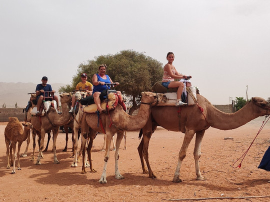 Agadir Safari Tours-阿加迪尔必去景点