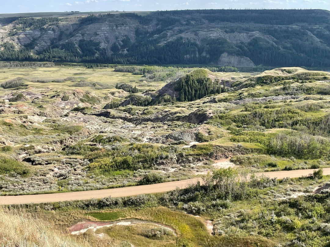 省立德莱岛野牛公园-Elnora必去景点