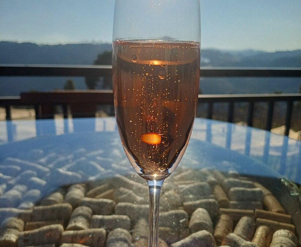 Vinhedos do Monte Agudo-Sao Joaquim必去景点