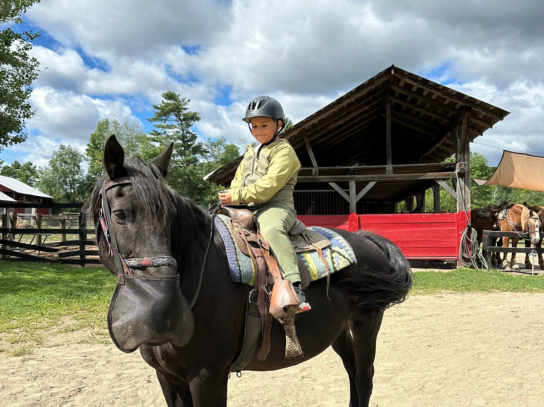 Circle B Ranch-Chestertown必去景点