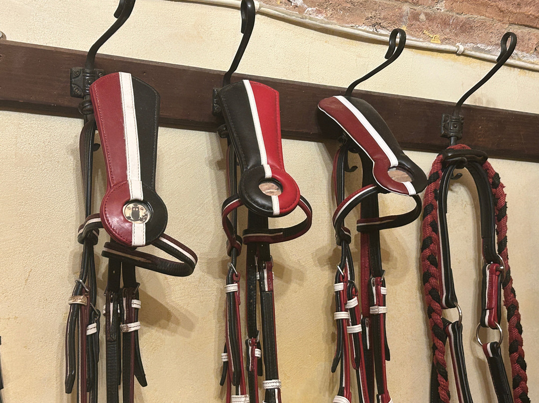 Museo Contrada Priora della Civetta-锡耶纳必去景点