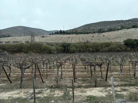 Turismo Delfines-拉塞雷纳必去景点