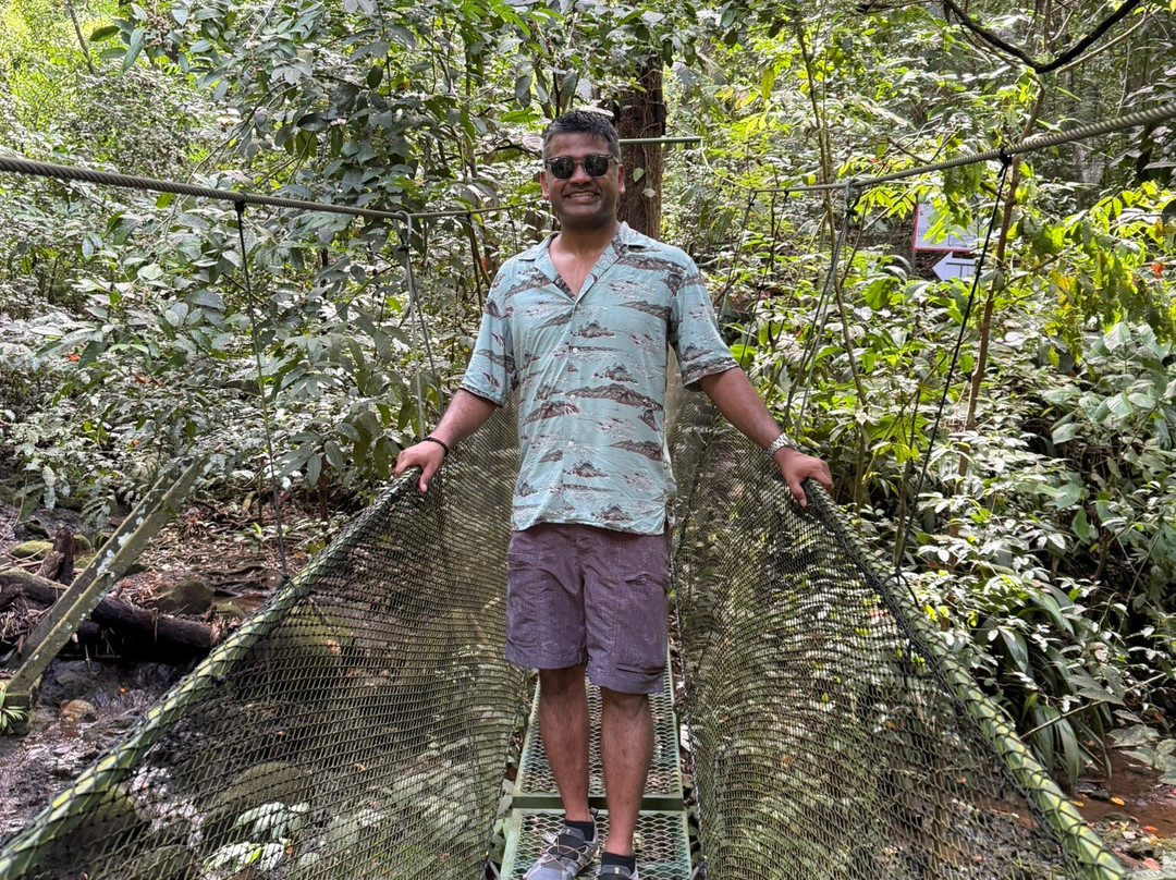 Pacific jungle adventures-克波斯必去景点