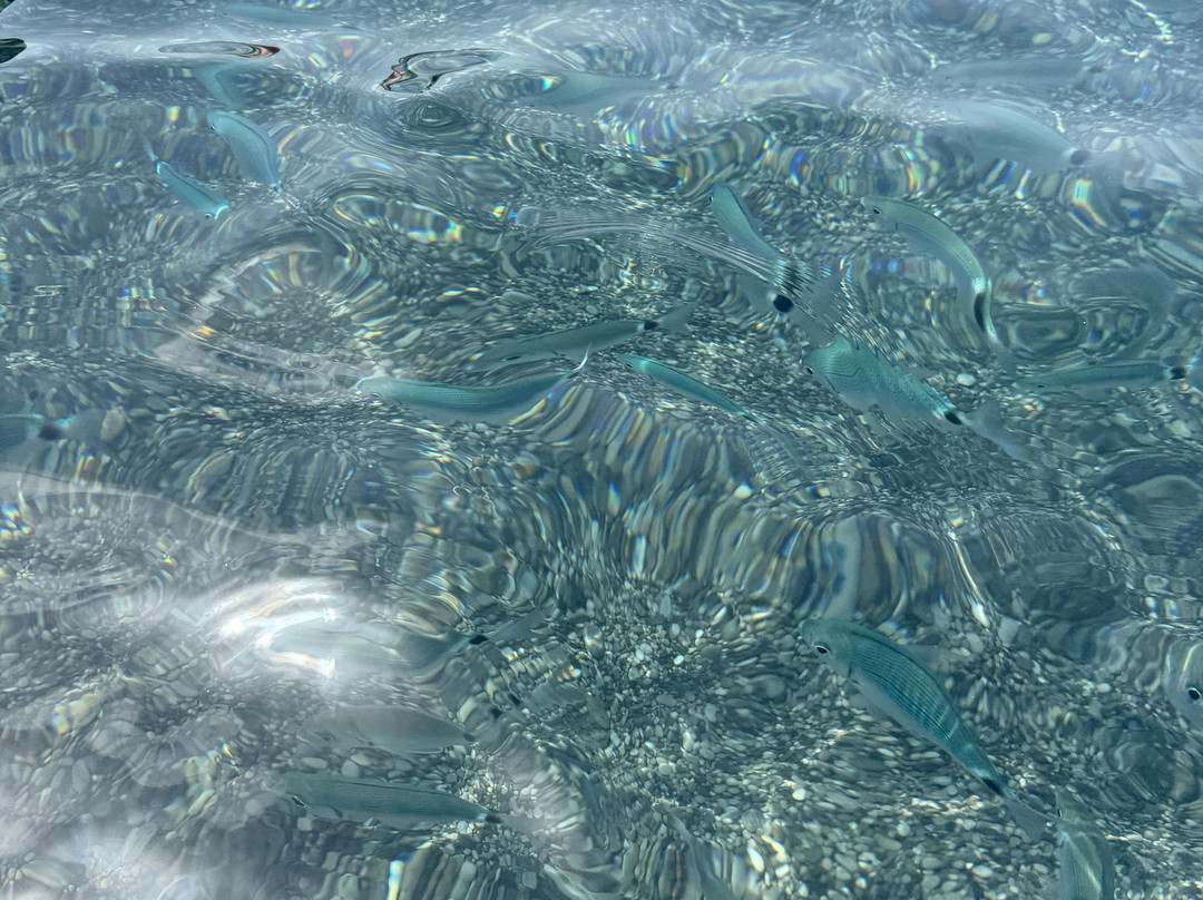 Spiaggia Anginarra-Acquafredda必去景点