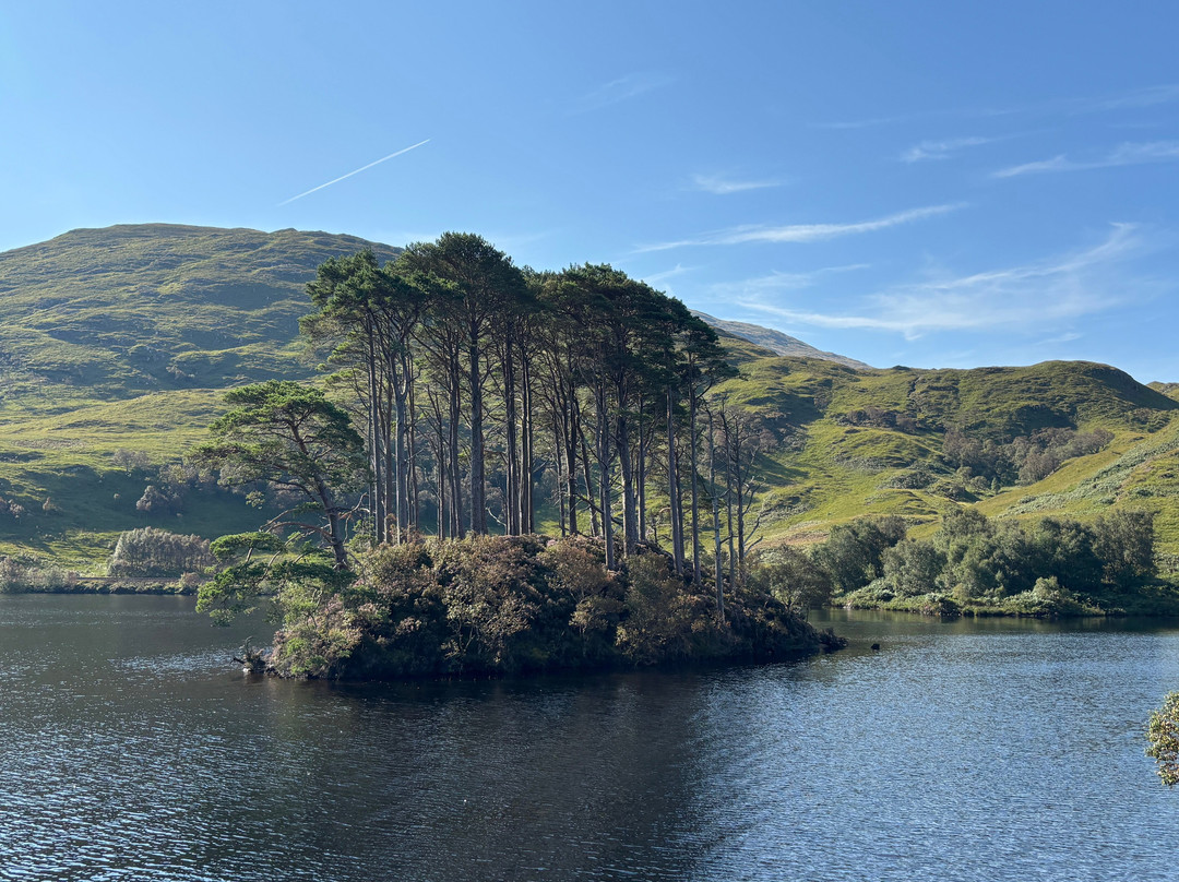 Eilean Na Moine. Dumbledore's Grave-Glenfinnan必去景点