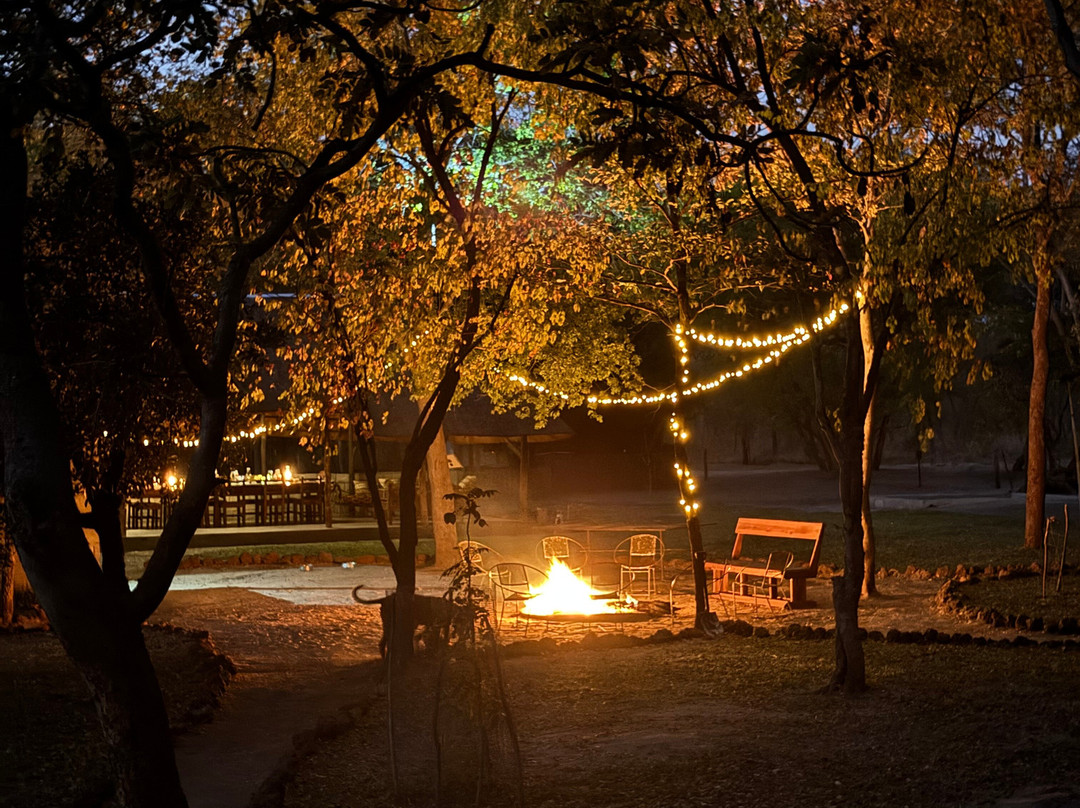 Sukulu Reserve-李文斯顿必去景点