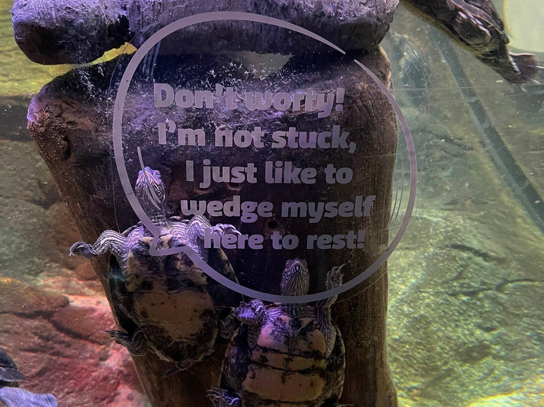 Sea Life Manchester-Trafford Park必去景点