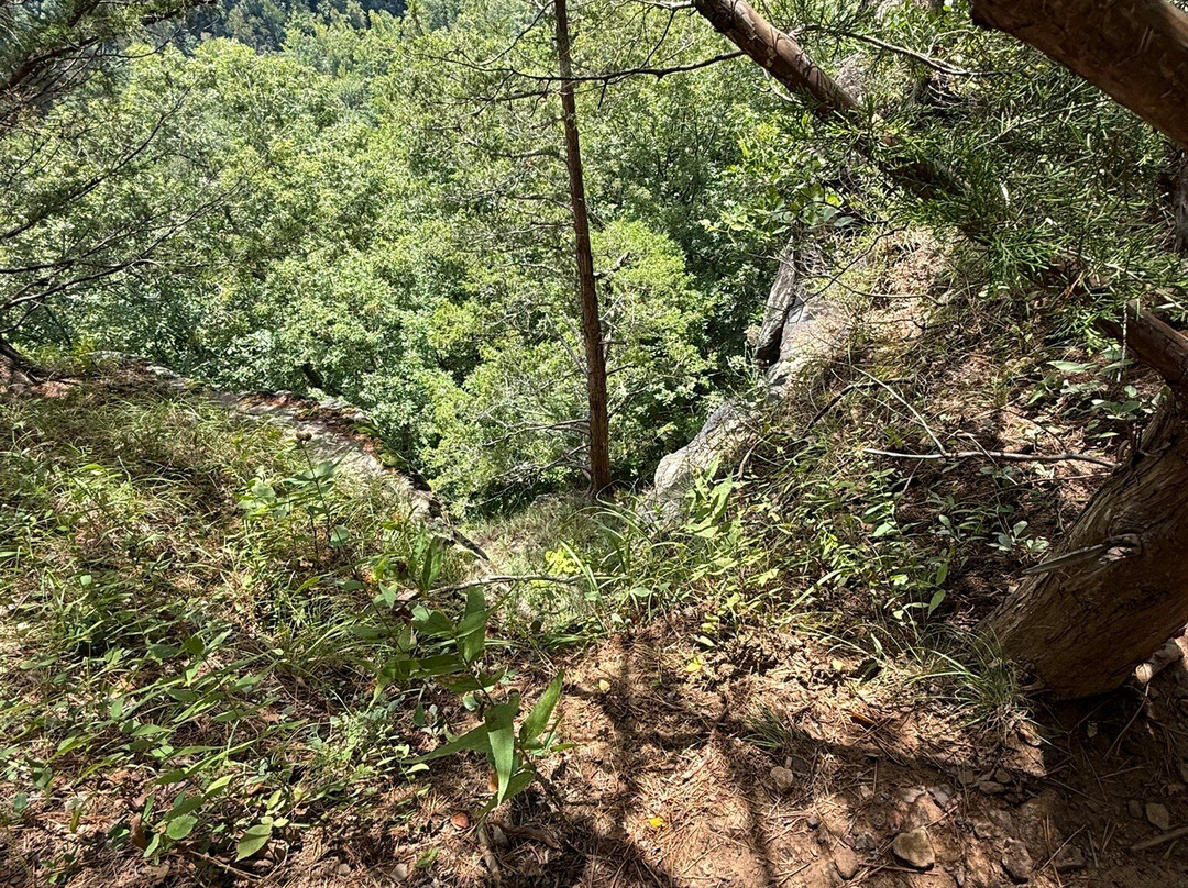 Hawksbill Crag-Ponca必去景点