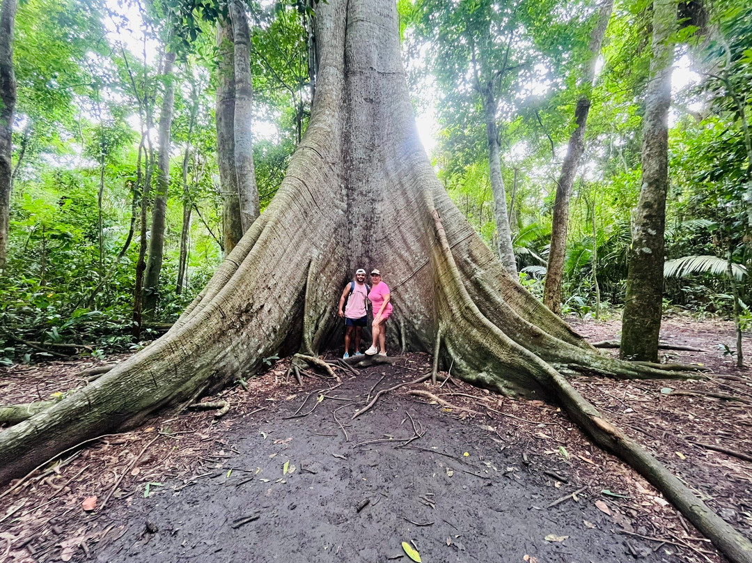 Floresta Nacional de Tapajos-Santarem必去景点