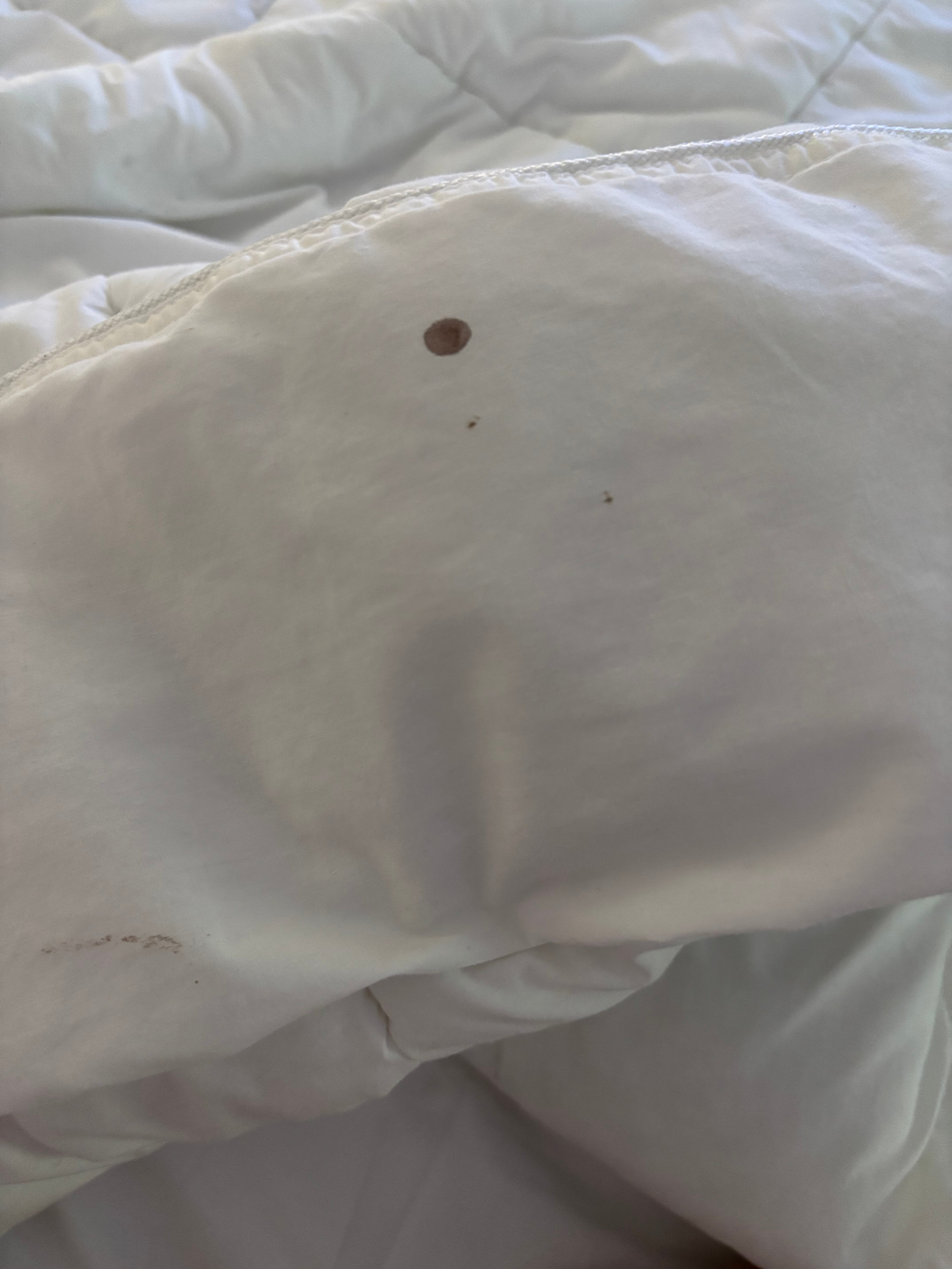 维雷治汽车旅馆-官方