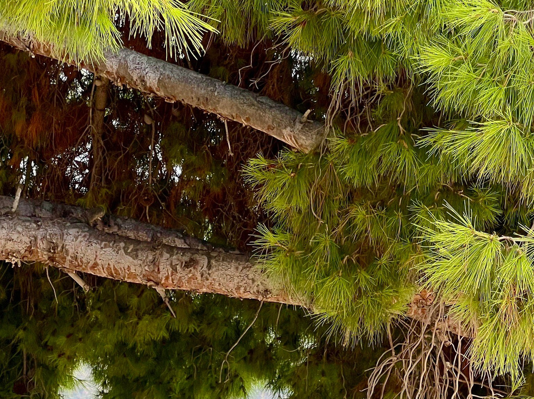 Trizonia Bay Hotel主图