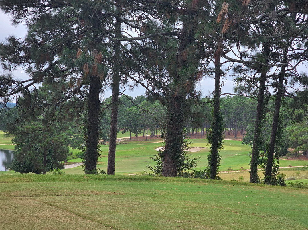 Hyland Golf Club-南派恩斯必去景点