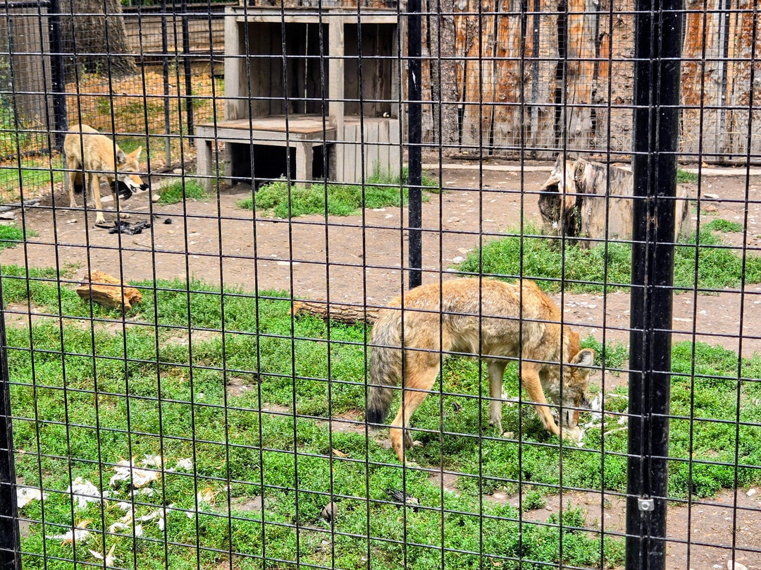 Zootah At Willow Park-洛根必去景点