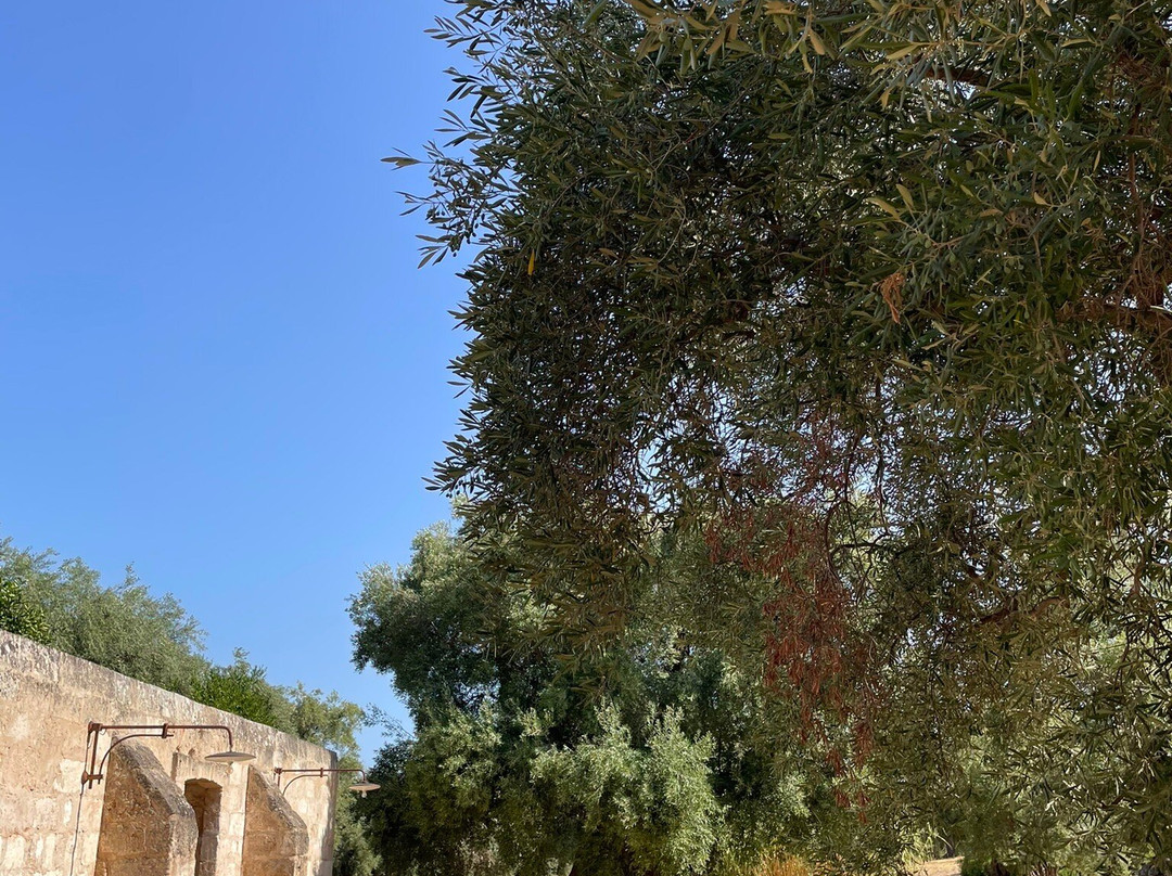 Masseria Brigantino主图