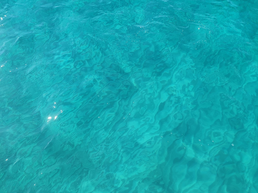 Set Sail Mykonos-米科诺斯必去景点