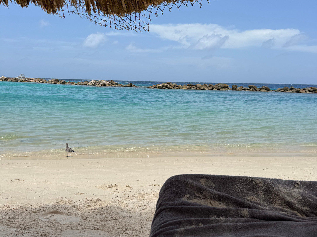Cabana Beach-库拉索必去景点