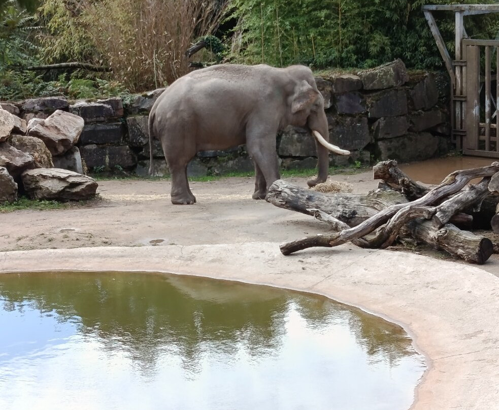 Les Terres De Nataé-Pont-Scorff必去景点