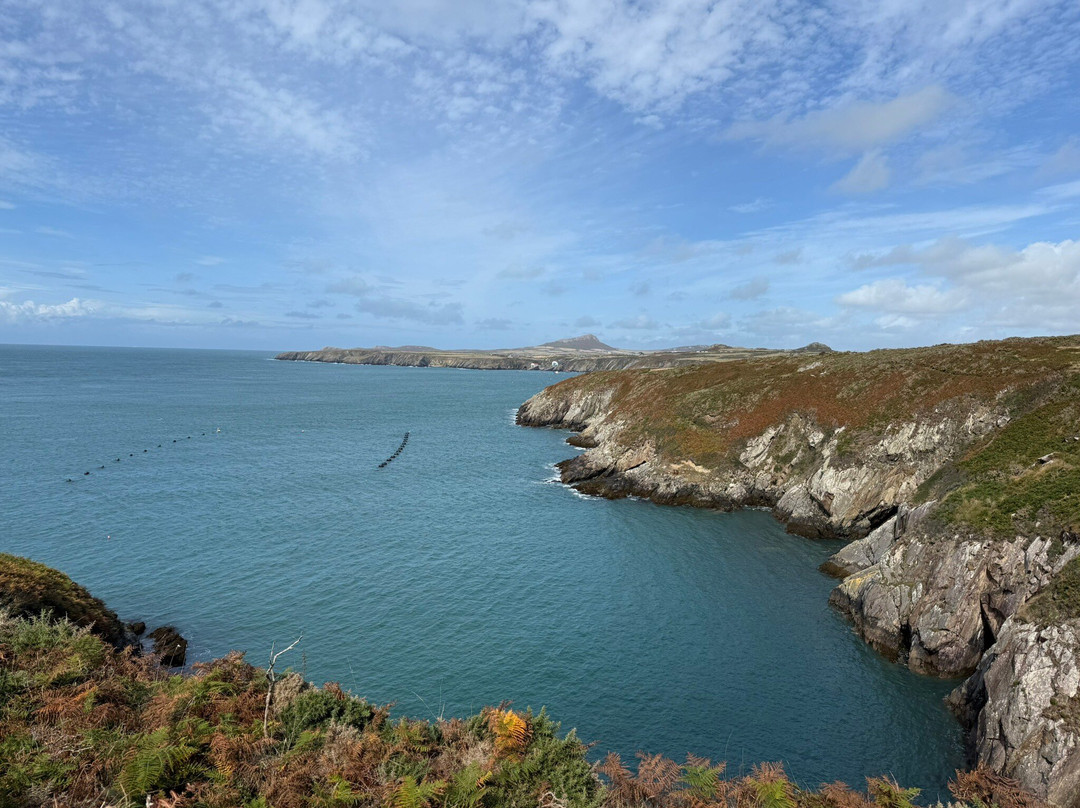 Porth Clais Harbour-St. Davids必去景点