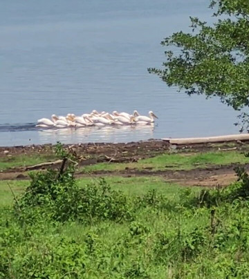 Expeditions Wild Jungle-Karen必去景点