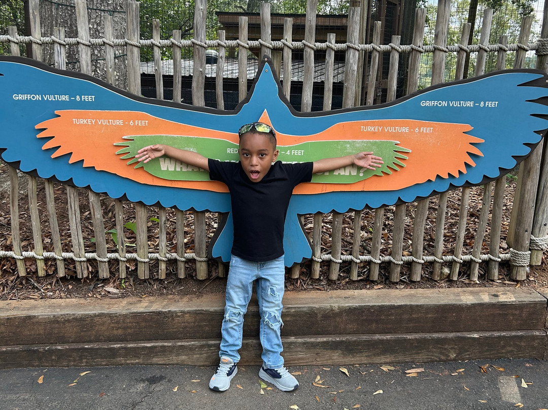 Greenville Zoo-格林维尔必去景点