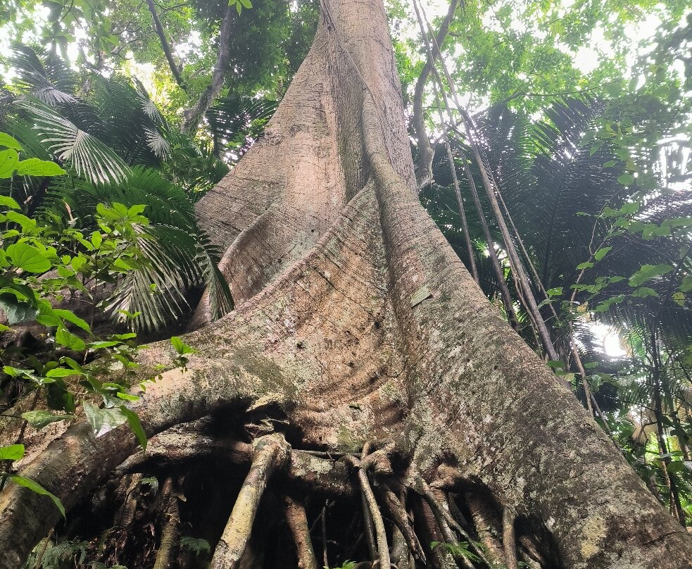 Rando A2Pas-Ducos必去景点