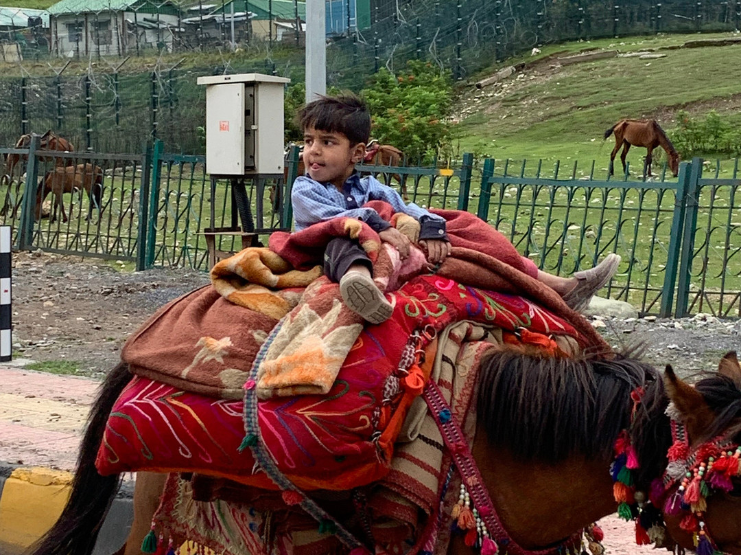 Holiday India Day Tours-新德里必去景点