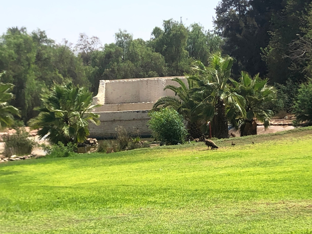 Royal Golf Marrakech-马拉喀什必去景点
