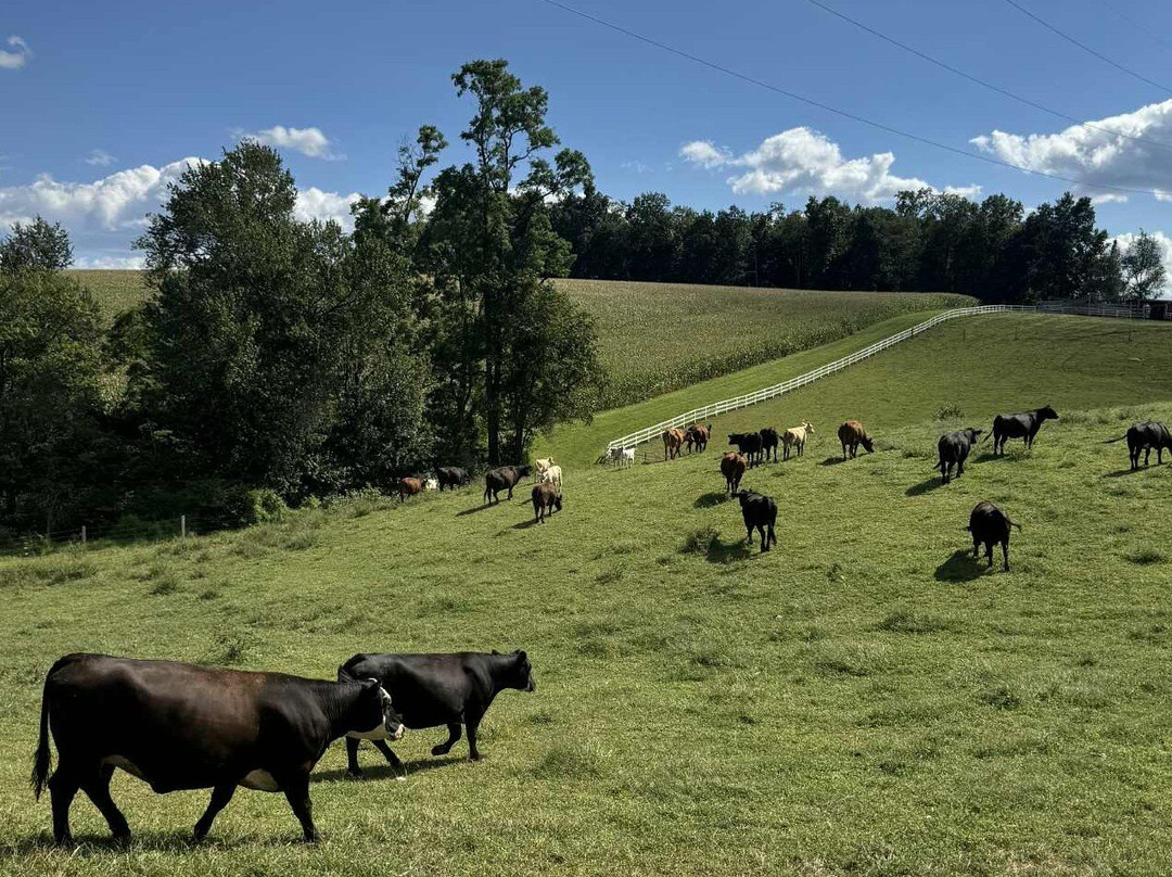Red Barn Farm Market at Harry C.Dehoff Farms-Stewartstown必去景点