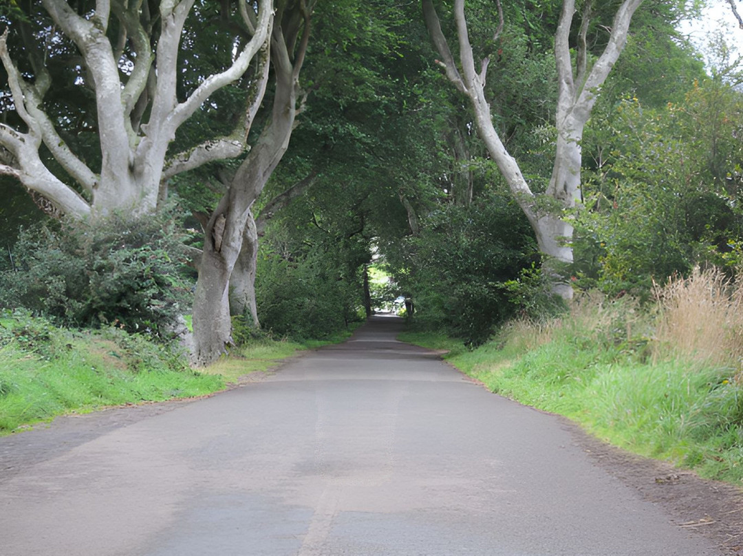 Pro Bus & Car Luxury Touring - Day Tours-都柏林必去景点