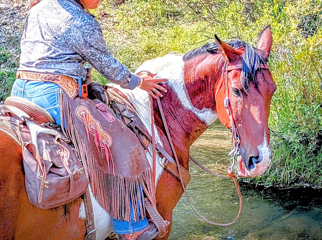 Little Jennie Ranch-Bondurant必去景点