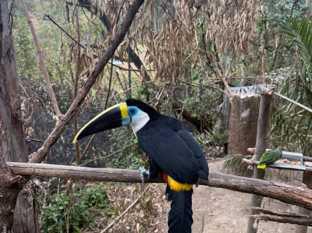 AMARU Bioparque Cuenca Zoologico-昆卡必去景点
