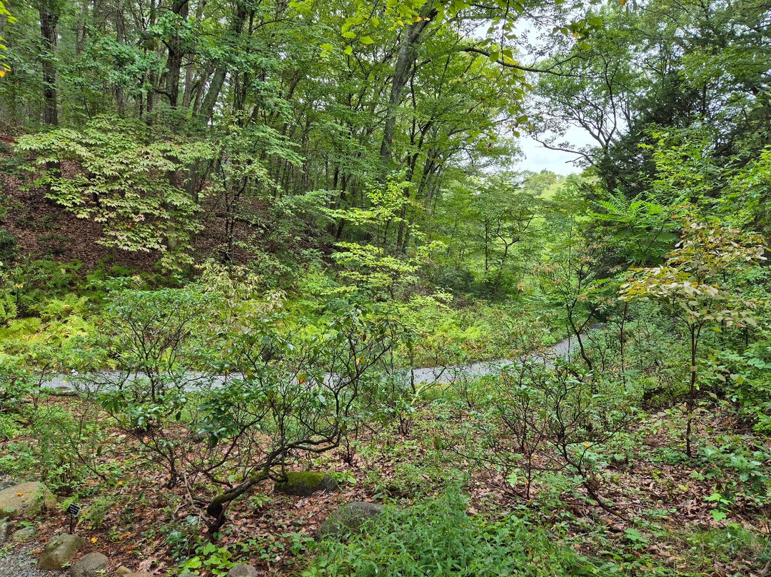 New England Wild Flower Society Garden in the Woods-弗雷明汉必去景点