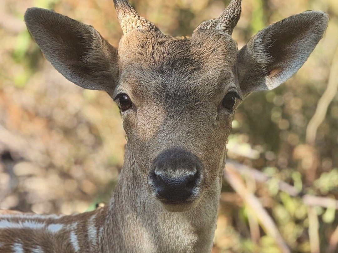 Botanical  Gardens Of Crete-Fournes必去景点
