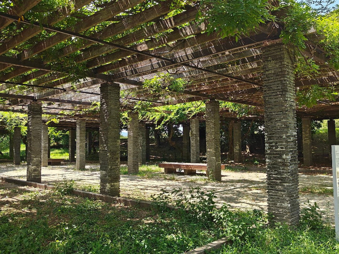 舞鹤公园-Chuo必去景点