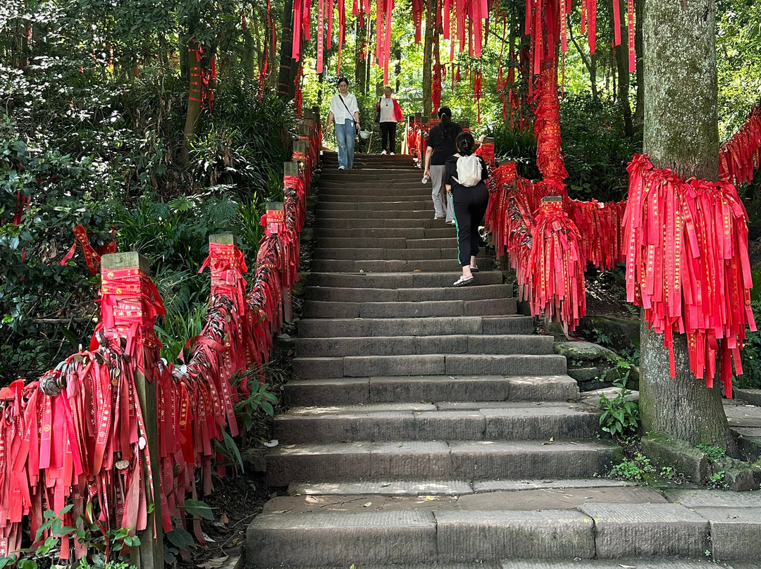 My Panda Tours-成都必去景点