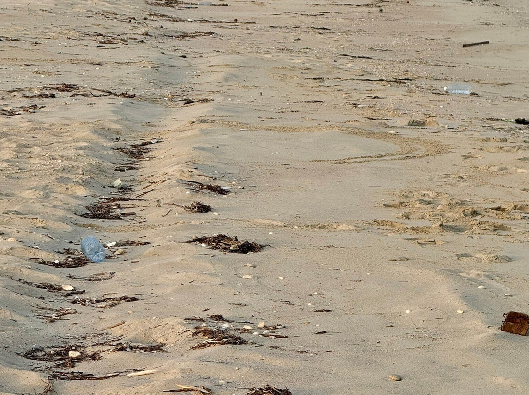 萨迪亚特岛公共海滩-阿布扎比必去景点