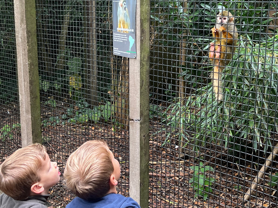 Uilen- en Dierenpark De Paay-Beesd必去景点