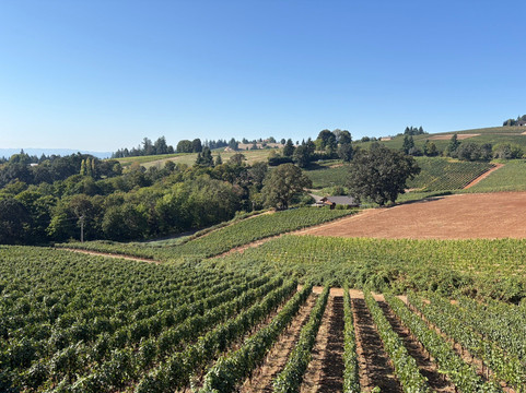 Oregon Select Wine Tours-纽伯格必去景点