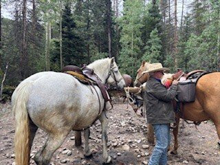 Mt Princeton Hot Springs Stables-Nathrop必去景点