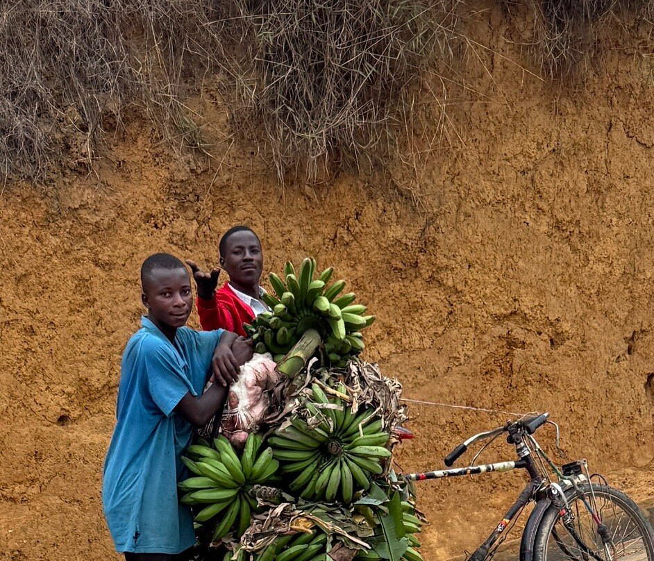 Primate Safaris-吉佳利必去景点