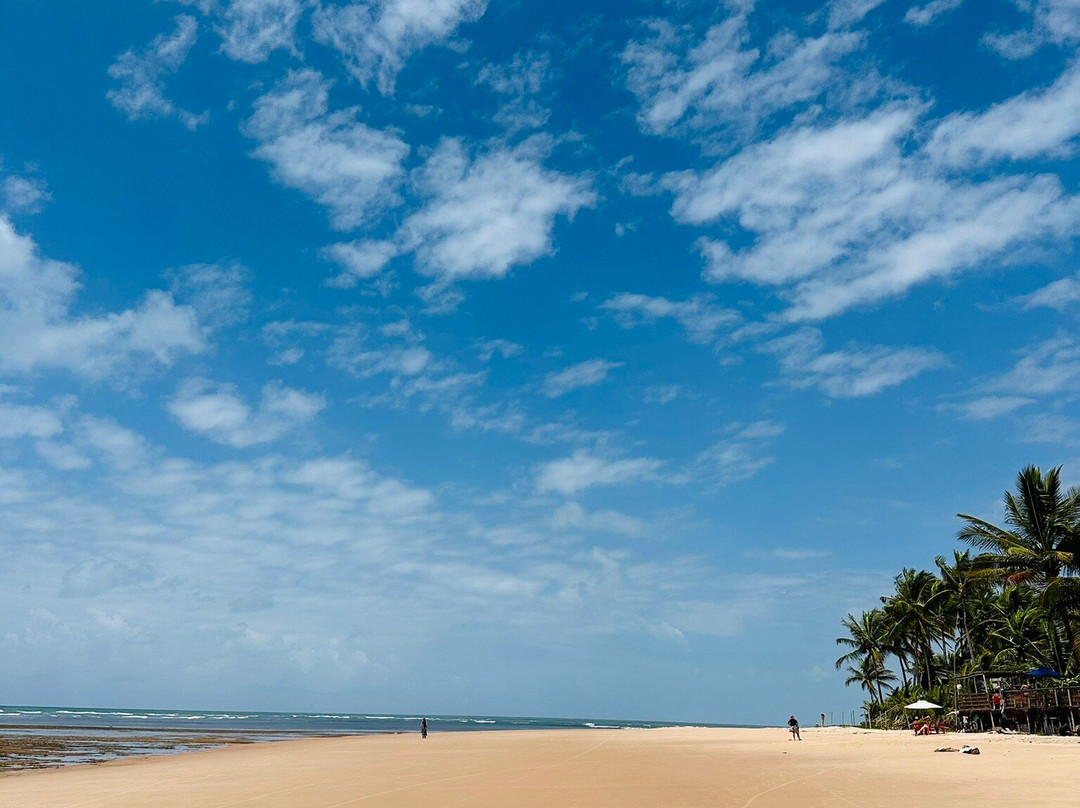 Algodoes Beach-Barra Grande必去景点