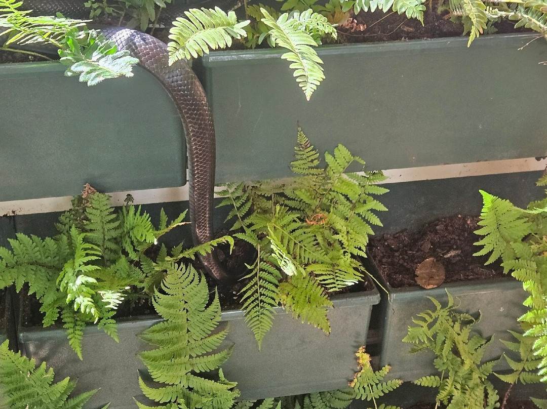 Delaware Botanic Gardens-Dagsboro必去景点