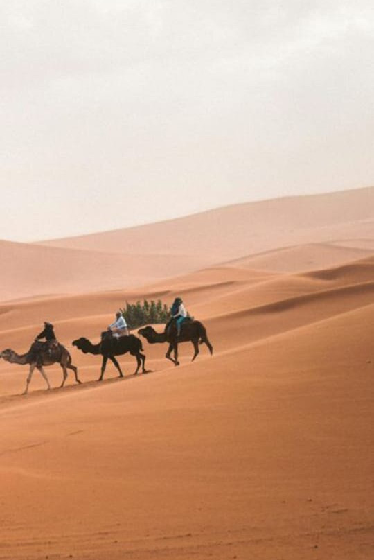 Moroccan Activities & Desert Safaris-卡萨布兰卡必去景点