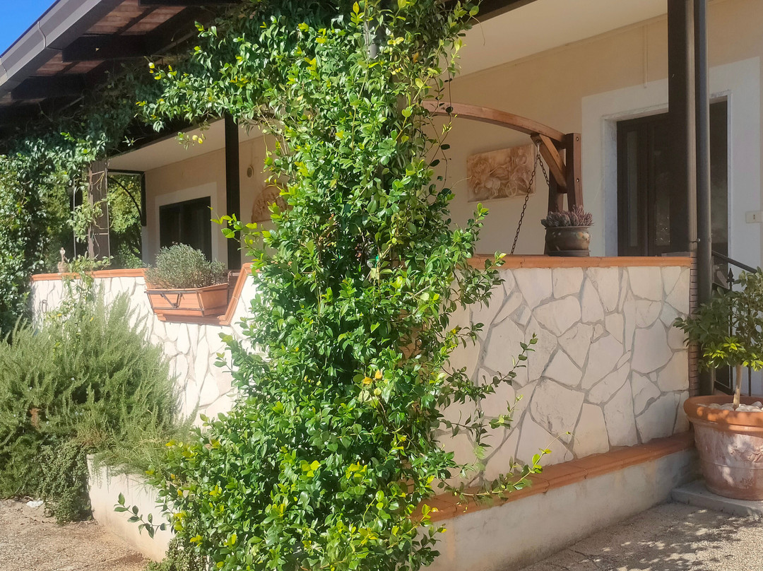 B&B Casale Shanti主图