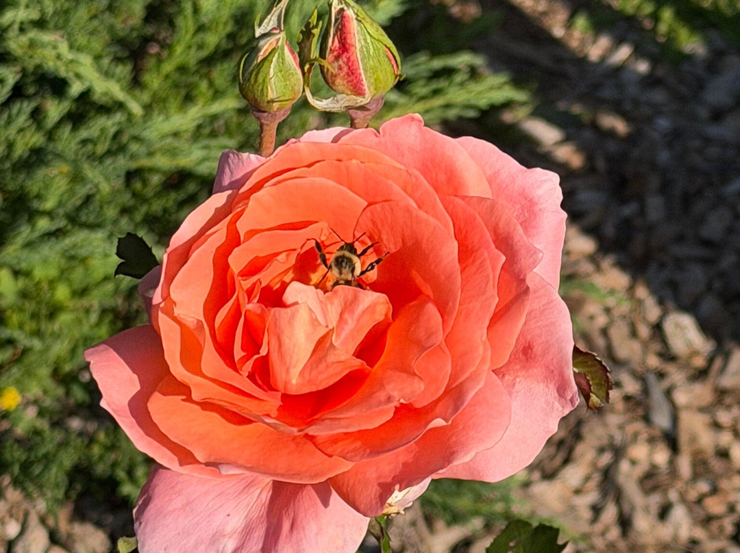 The Garden Door-斯特金贝必去景点