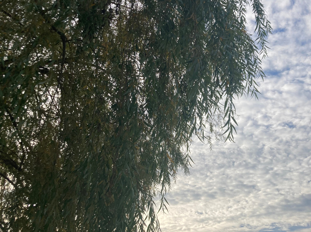 Omega Institute-Rhinebeck必去景点