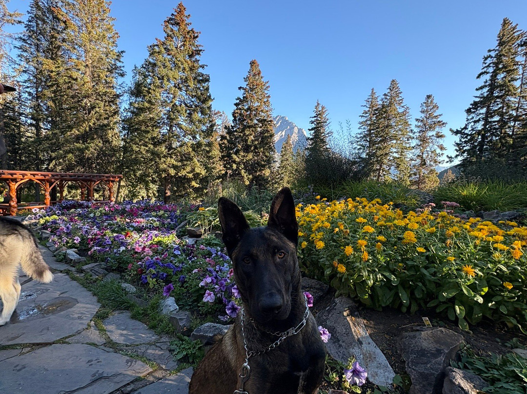 Cascade Gardens-班夫必去景点