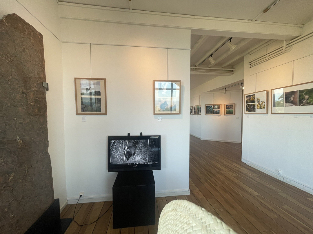 Maison du Littoral-Ploumanac'h必去景点